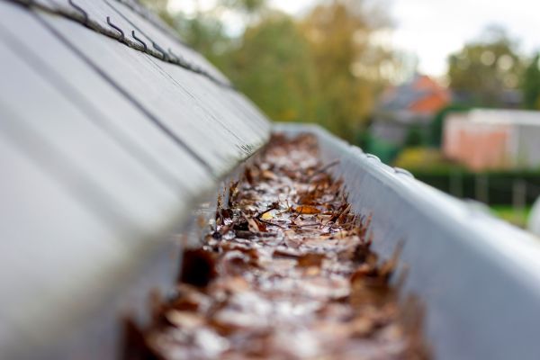 Commercial Gutter Cleaning in Port Orange