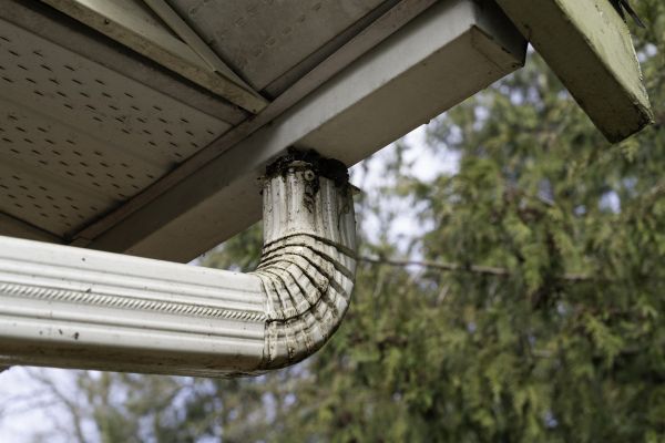 Downspout Cleaning in Port Orange