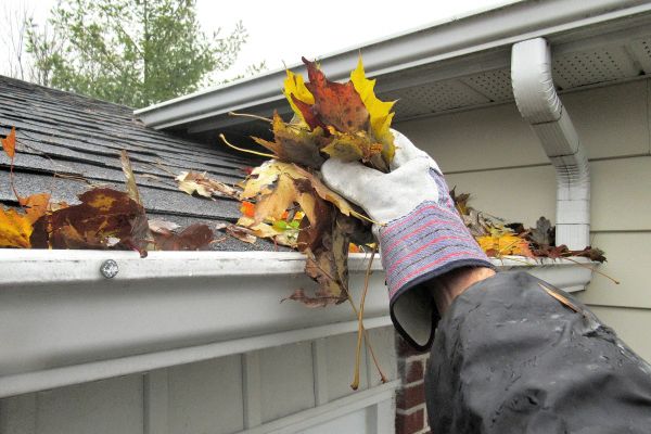 Roof Gutter Cleaning in Port Orange
