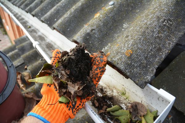 Seamless Gutter Cleaning in Port Orange