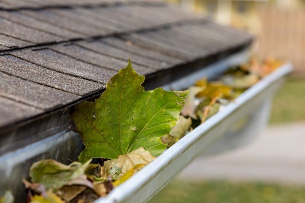 Commercial Downspout Cleaning in Port Orange
