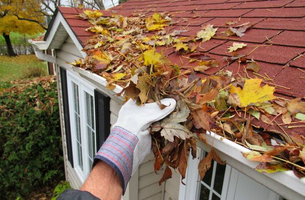 Emergency Gutter Cleaning in Port Orange