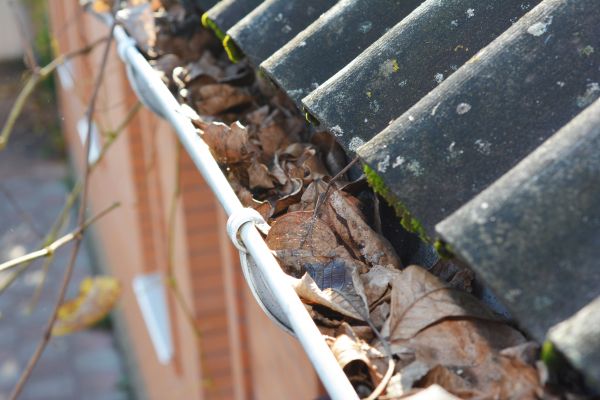 Home Gutter Cleaning in Port Orange