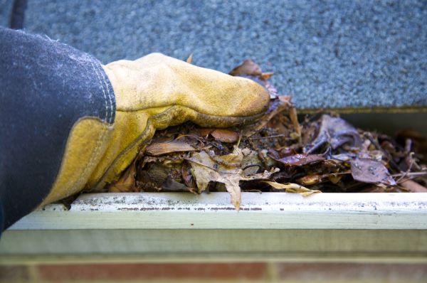 Cost of Jammed Gutter Cleaning in Port Orange
