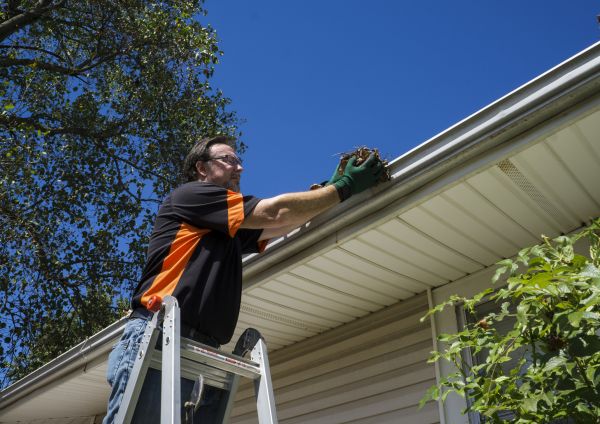 Cost of Eavestrough Clearing in Port Orange