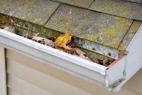 Cost of Garage Gutter Cleaning in Port Orange