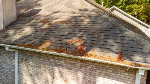 Cost of Gutter Pine Needle Removal in Port Orange